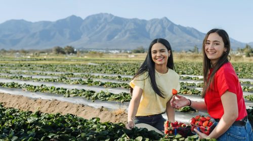 485963081_1088514683322052_2643966779825671548_n