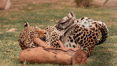 557637141_1243371571147668_4275230244664112029_n